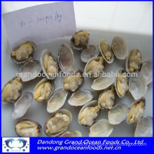 Frozen cooked baby clams